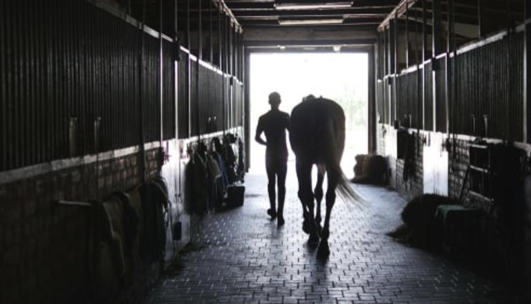 bus-driver-buys-first-home-and-horses-with-powerball-win