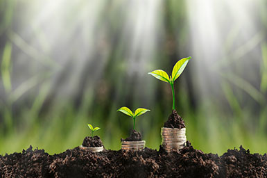 Three piles of coins of different amounts with a plant on top to imply growth