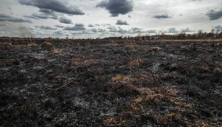 some-of-weirdest-powerball-winning-purchases