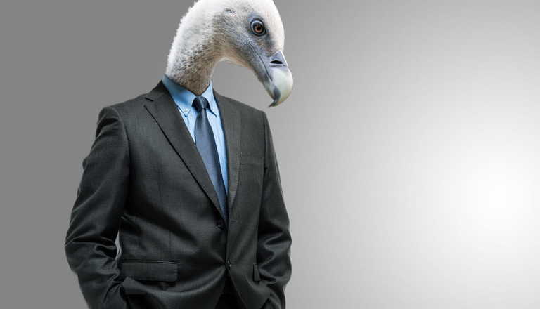 The Lottery Vultures
