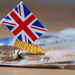 powerball-jackpot-expands-to-uk Thumbnail