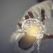 The Psychology of Lottery Marketing Thumbnail