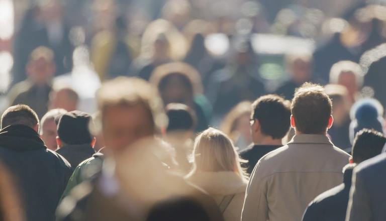 What Demographics of Society Play the Lottery